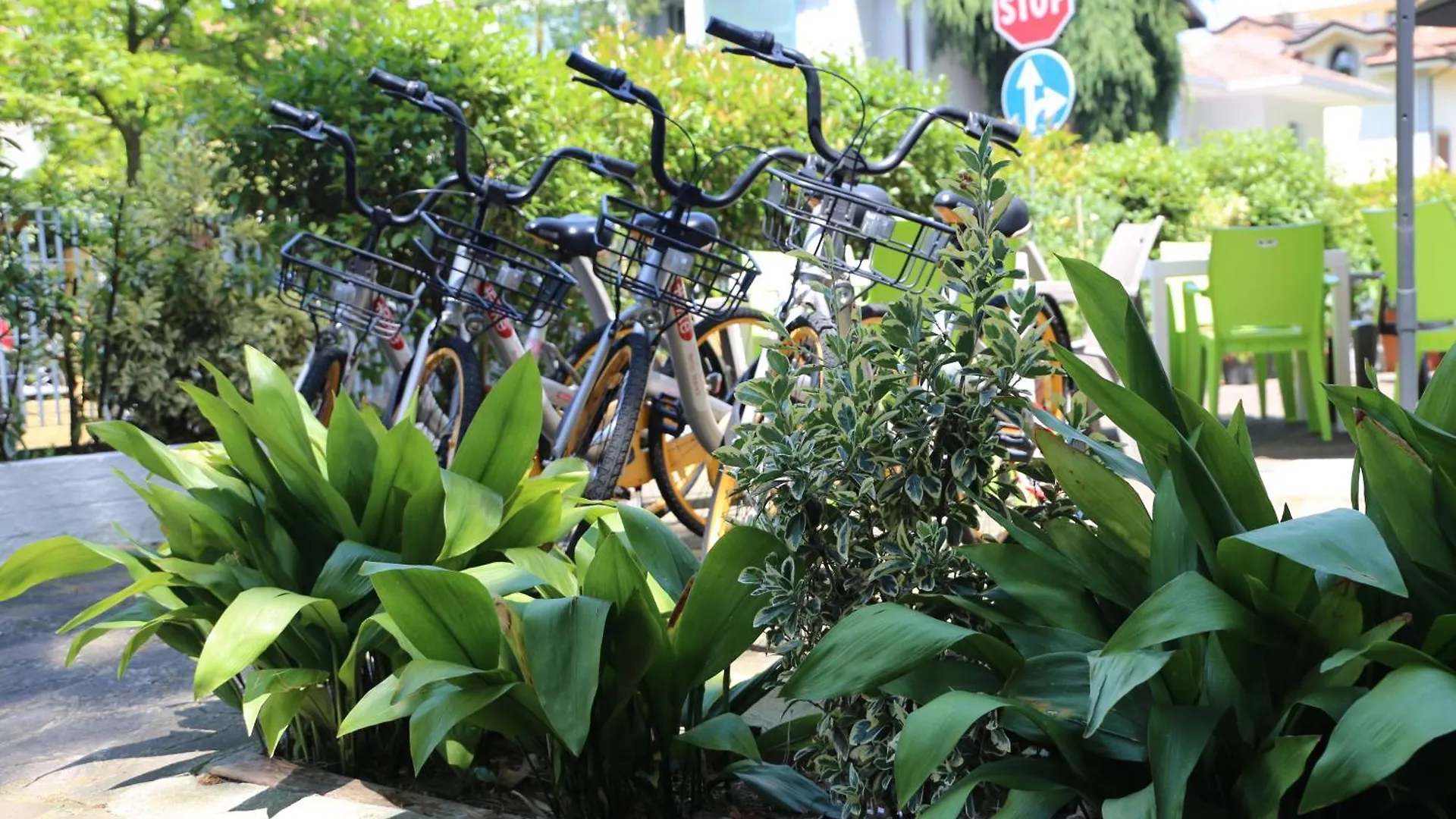 Hotel Senza Pensieri Riccione 3*,  Italia